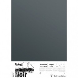 PaintON Noir paquet 10F 50x65cm 250g._1