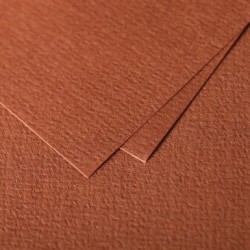 Carte pliée Grain de Pollen 10,5x21m_1