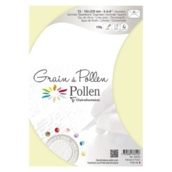 Enveloppe Grain de Pollen C5 (16,2x22,9cm)_1