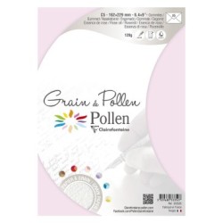 Enveloppe Grain de Pollen C5 (16,2x22,9cm)_1