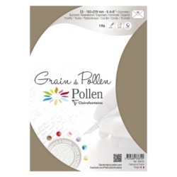 Enveloppe Grain de Pollen C5 (16,2x22,9cm)_1