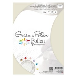 Enveloppe Grain de Pollen C5 (16,2x22,9cm)_1