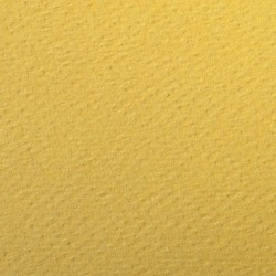 Papier dessin couleur à grain Etival Color 160g_1