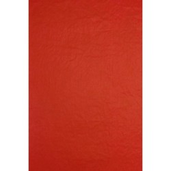 Rame de 480 feuilles soie 75x50cm_1