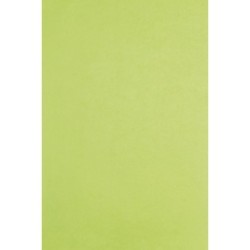 Rame de 480 feuilles soie 75x50cm_1