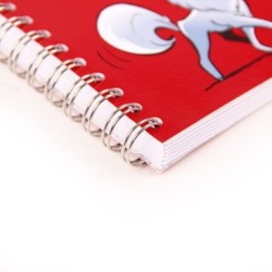 Astérix - Cahier de textes_1