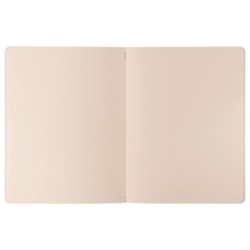 Astérix - Carnet dessin_1