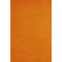Rame de 480F soie 75x50cm Orange_1