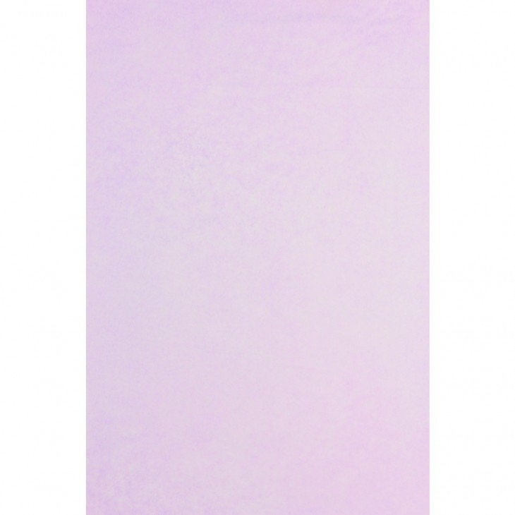 Papier coloré A4 160g Violet