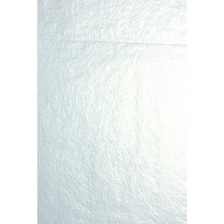 Sachet de papier de soie 4F pliées 50x75cm, Argent.