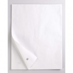 Sac-étui de 25 feuilles, papier kraft blanc 70x100cm s/film._1