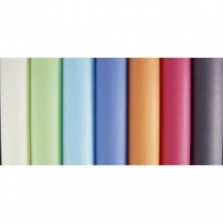 Kraft couleur 65g, 3x0,70m en carton prés. de 50 rlx Pastel.