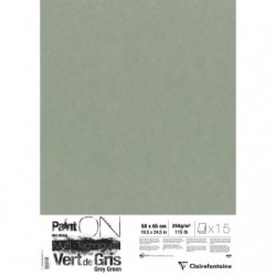 PaintON Vert de Gris paquet 15F 50x65cm 250g._1