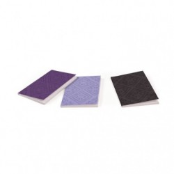 Aïda, Set of 3 Notebooks in Holder, 8.5x12cm, 32 Sheets, Plain, Leatherette Soft Cover._1