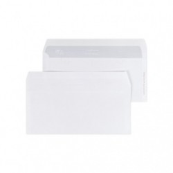 Confidence 110x220mm envelope 80gsm easy to open.