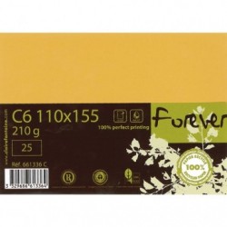 Forever 110x155mm 210gsm card packed 25s._1