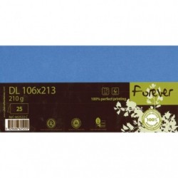 Forever 106x213mm 210gsm folded card packed 25s._1