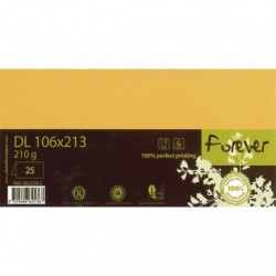 Forever 106x213mm 210gsm folded card packed 25s.