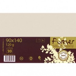 Un paquet de 20 enveloppes Pollen gommées 16,2x22,9 cm 120g Violine Clairefontaine 5602C 