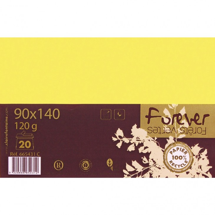 Forever 90x140mm 120gsm envelope packed 20s.