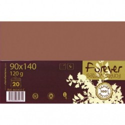 Forever 90x140mm 120gsm envelope packed 20s._1