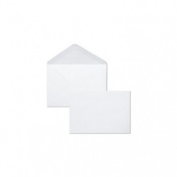 Adheclair Combined 20 Gummed Envelopes + 20 Cards Wrapped in Cello, 90x140mm.