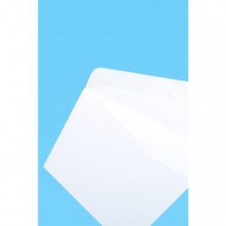 Clairefontaine Triomphe, Gummed envelopes 110x220mm 90gsm pack of 25s._1
