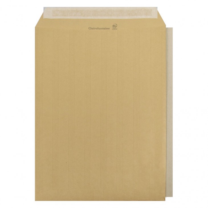 229x324mm 120gsm rigid kraft envelope board-backed.