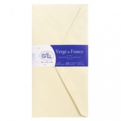 25 tissue-lined envelopes 110x220mm.