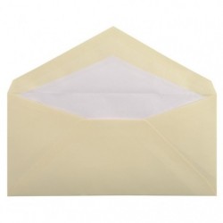 25 tissue-lined envelopes 110x220mm._1