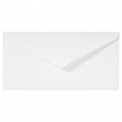 25 tissue-lined envelopes 110x220mm._1