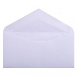 20 envelopes pearlescent vellum 110x220mm._1