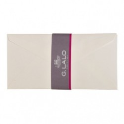 20 Canvas Imperial envelopes 110x220mm._1