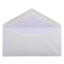 20 Canvas Imperial envelopes 110x220mm._1