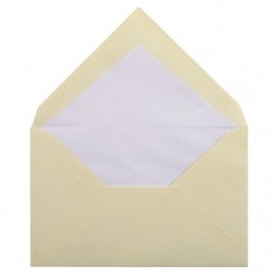 20 tissue lined envelopes 90x140mm vergé de France._1