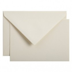 10 cards 107x152 & envelopes Vellum 50%._1