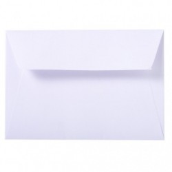 25 vellum self-sealing envelopes 107x152mm._1