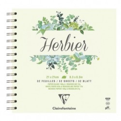 Clairefontaine Green Annonay B3 Art Folder with Elastic 37x52cm 