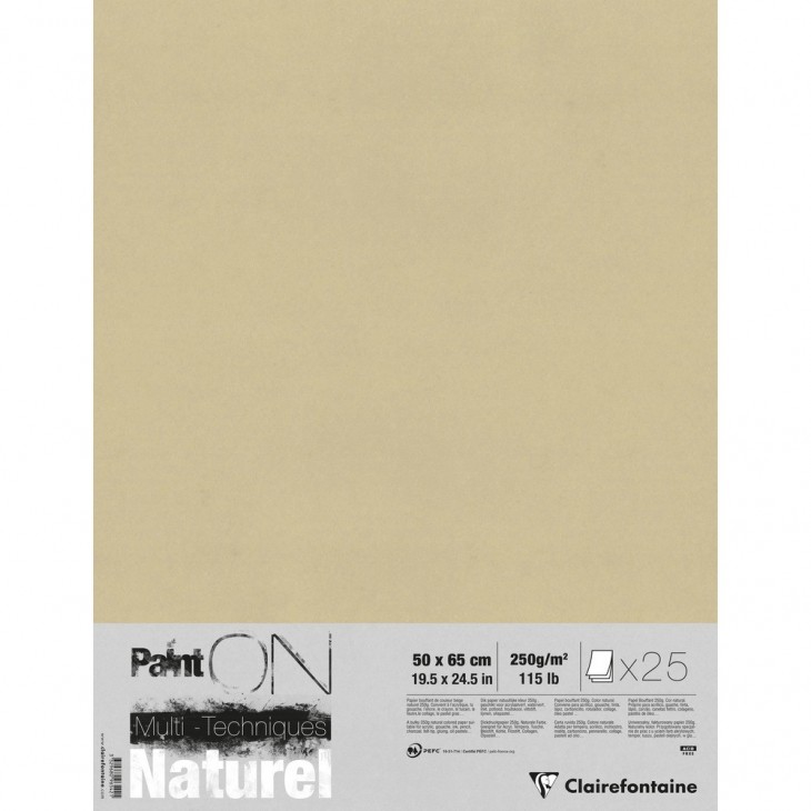 Clairefontaine Paint On pack of 25 250g sheets, 50x65cm.