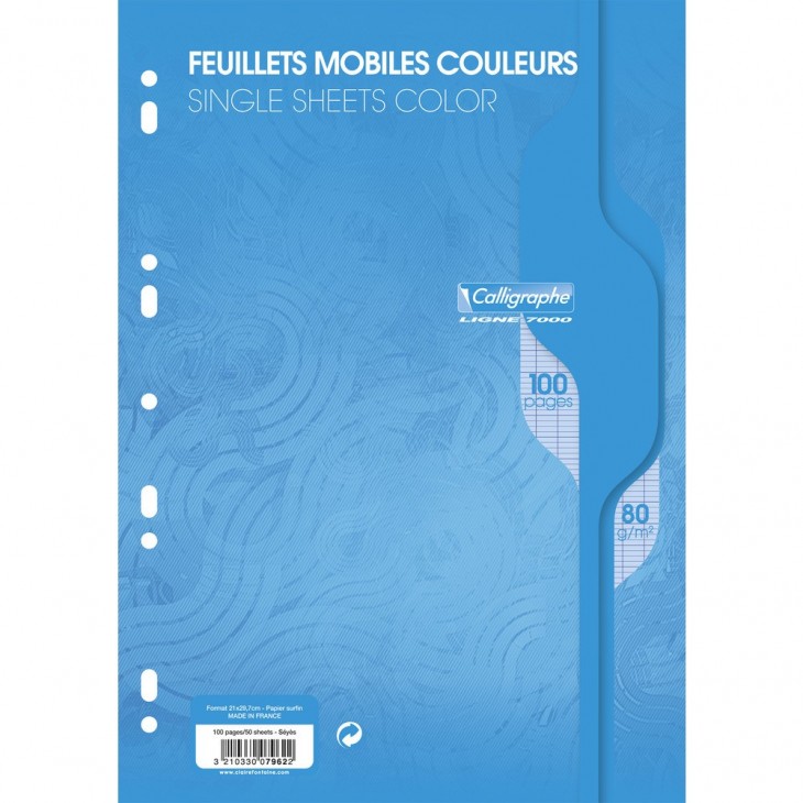 Feuillets Mobiles Perforées Bleu 21X29,7 A4 Grands Carreaux Seyes