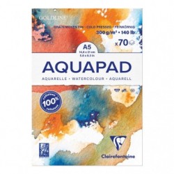 Clairefontaine Goldline Aquapad A5._1