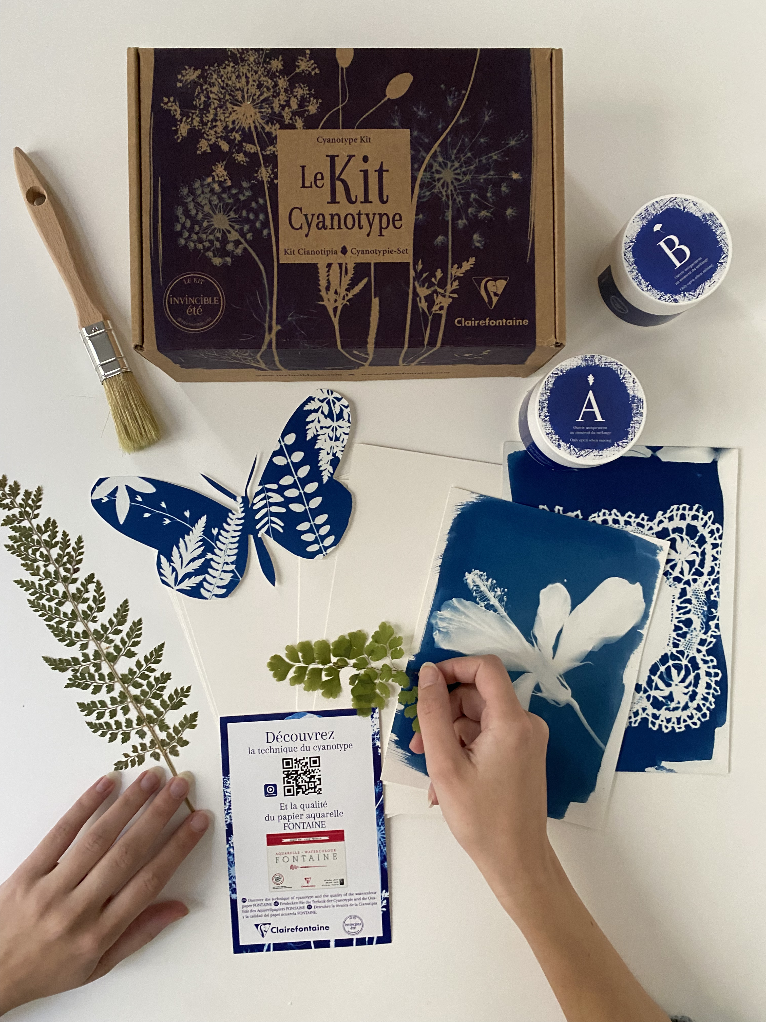 Creating a Cyanotype: Discover Our Best Tips and Techniques!